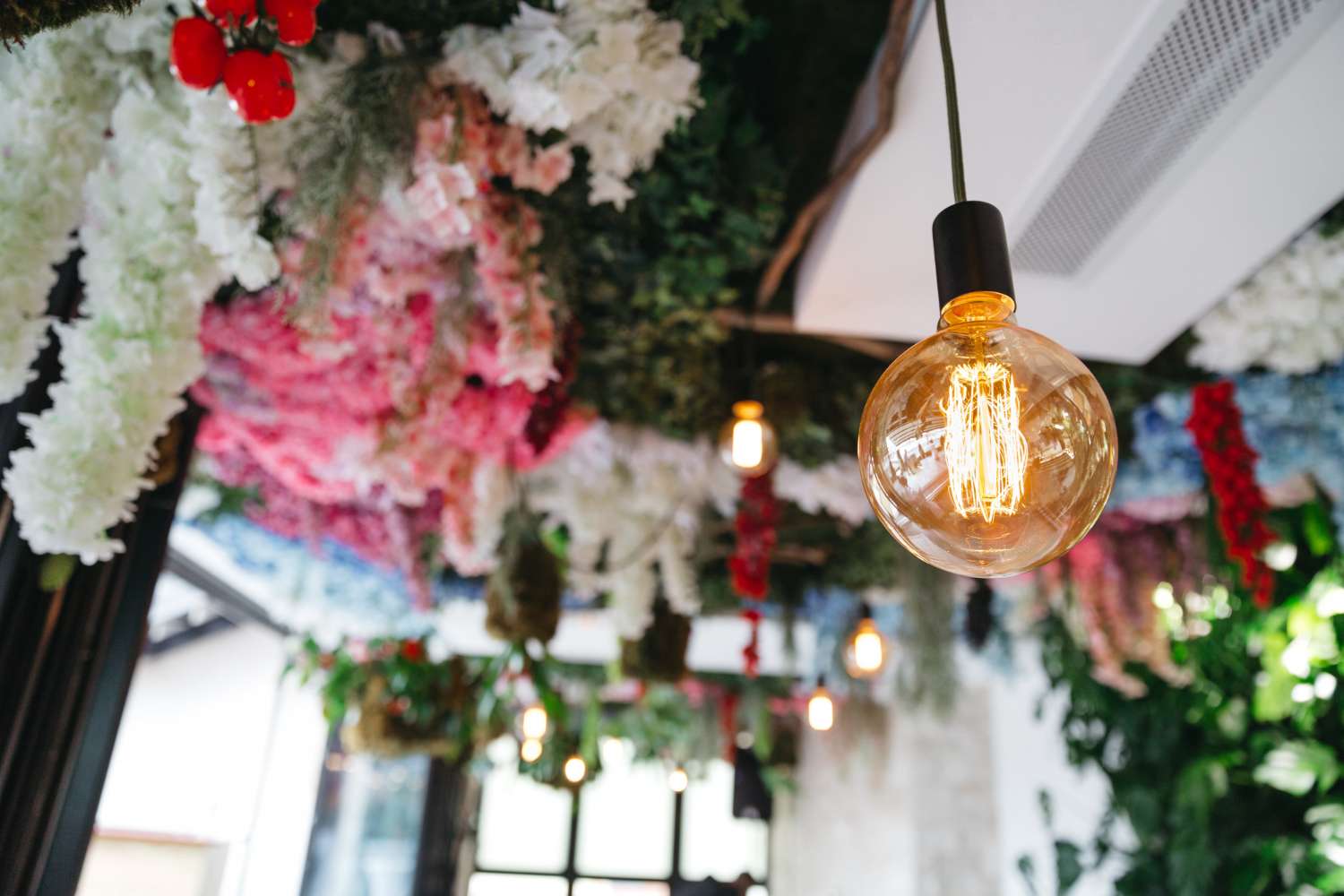 Themed Decor