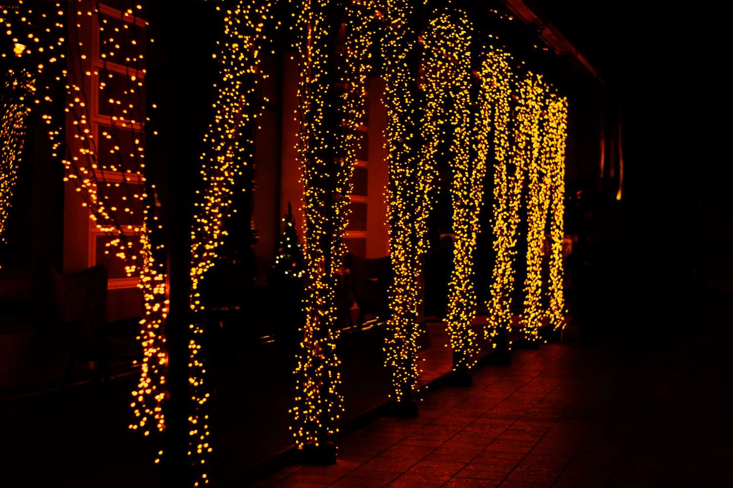 Elegant Lighting
