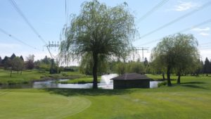 One of the venue named golf course Provided by Westfield Banquet Hall In Surrey